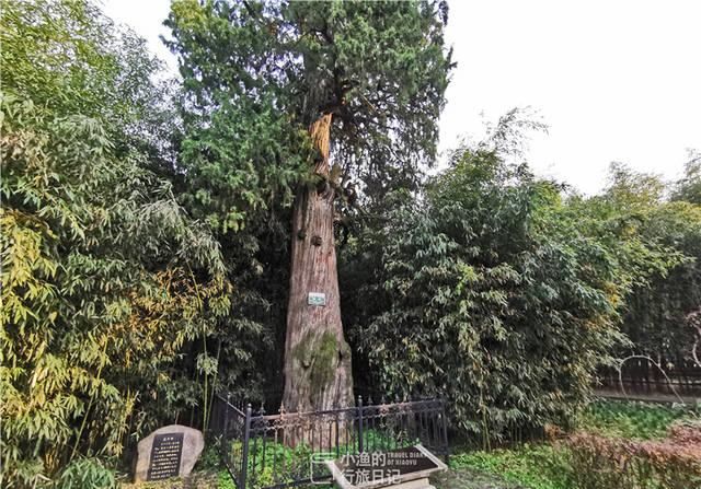 中国最早的道教宫观在西安,距今2600年,免费开放,知道的人不多