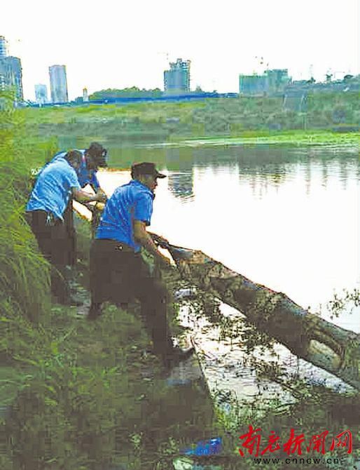 「禁渔期」禁渔期现“地笼网” 捕鱼民警拉上岸当场销毁