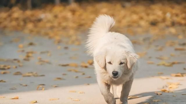 小小一座城，连地级市都不是，却有着两千年历史和诗画般的乡村