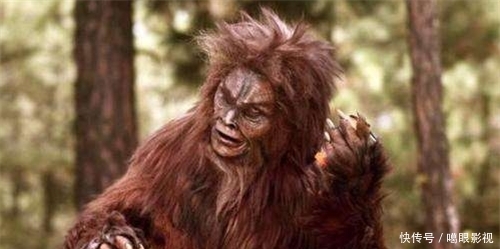 神农架深处，为什么会成为禁区？只因有一神秘现象，专家至今未解