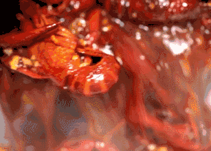 美食谣言大合集！小龙虾、凤爪、奶茶竟可以随便吃……