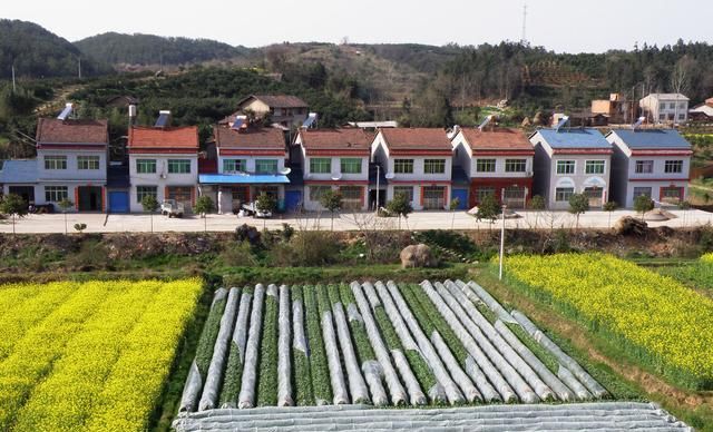 农村户口没有宅基地，如果动迁给补偿吗？