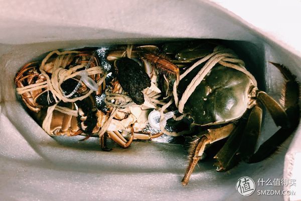 巨石黄金重，蟹肥白玉香--今锦上 阳澄湖大闸蟹试吃体验