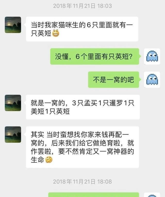  【猫和狗】这些有关于猫狗的冷知识你都知道吗？