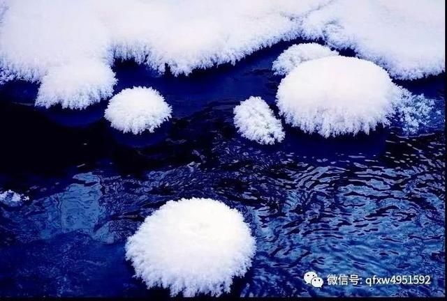 初冬已至，降温来袭 | 陕西这些地方已经下雪啦！想看雪景的走起