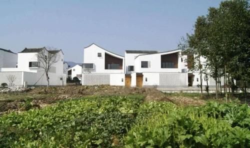  「城里人」农村这4大“怪现象”，只有村里人明白？城里人可能不