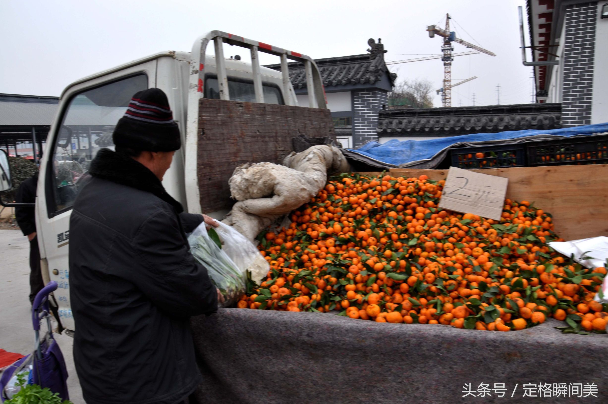 半岛集市 新鲜蜜桔1.5一斤 这人气想不赚钱都难