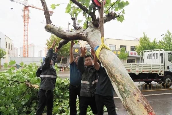 “利奇马”已过境德州，今夜我市仍有中到大雨，局部暴雨