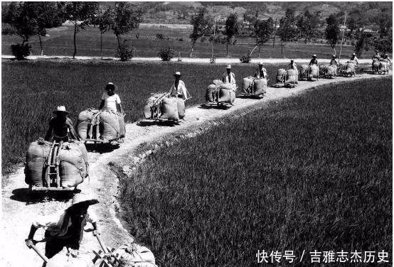 『公粮』老照片交公粮