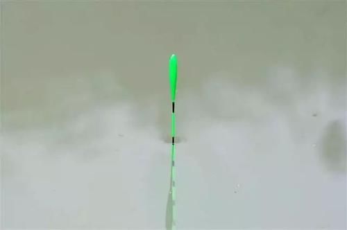  「野外水域」为何野钓没大鱼，不是大鱼没进窝，是开始调漂就出了问题