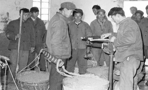 老农民交了一辈子公粮，还有另一大贡献，现在老了，怎么养老？