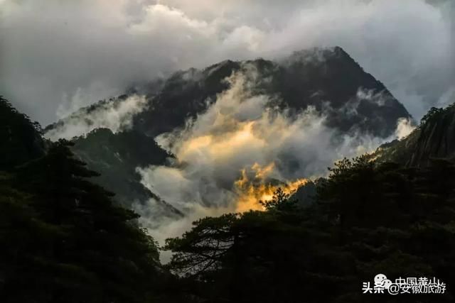 万物悄然复苏，黄山等你来游