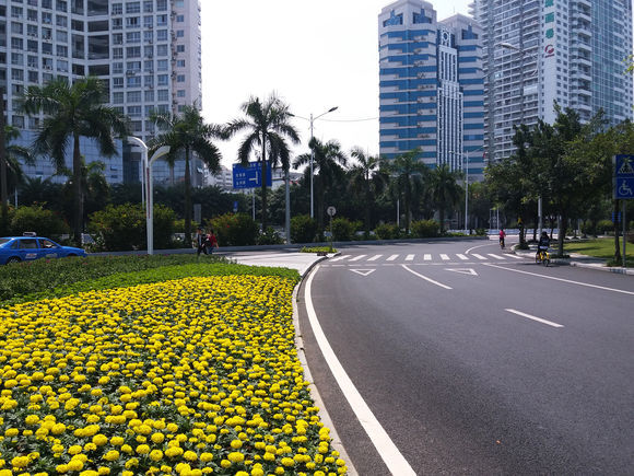 中国南方司机素质最高的3个城市 当地的司机让