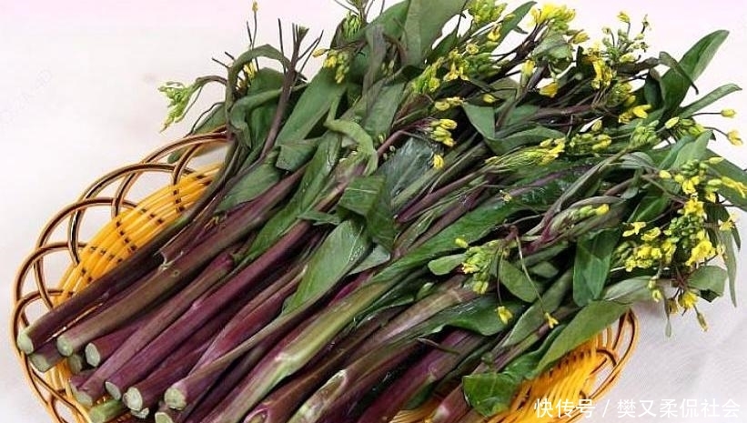  「南方」农村一种蔬菜只在南方生长，现一斤6元，成蔬菜中名副其