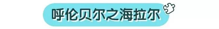 别去海边人挤人了，国内这个地方凉爽不晒，还美到犯规