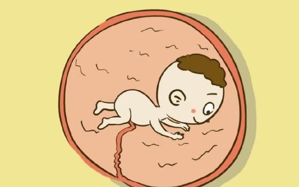  [动现象]孕期，若胎宝宝有这3个表现，或许是“高智商”宝宝，偷着乐吧！