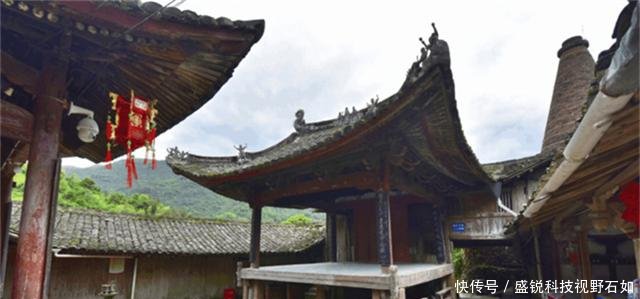 浙江、福建交界，有个300年秘境古村，仙人掌都长成了参天大树