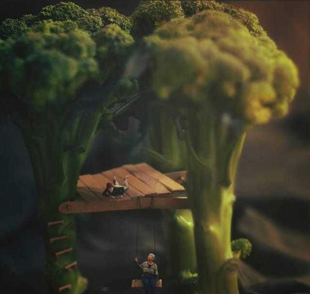 8岁开始摄影,没上过一天学的他,天才创作已超过2亿次点击