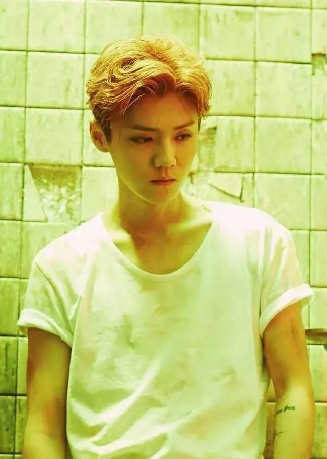 鹿晗维权成功？书粉不满朱一龙？赵丽颖用词不当？王凯献血惹争议