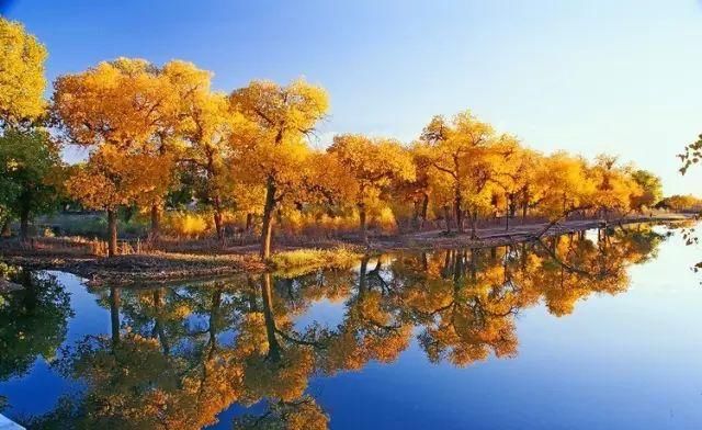 这20个世界罕见奇观都在中国 去过算白赚！