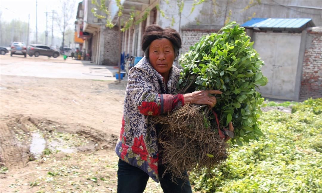  #道理#俗语“男怕八月，女怕腊月”，为何这样说？老祖宗的话有