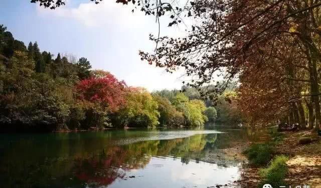 最美贵州一抹秋，全都藏在了这些地方！