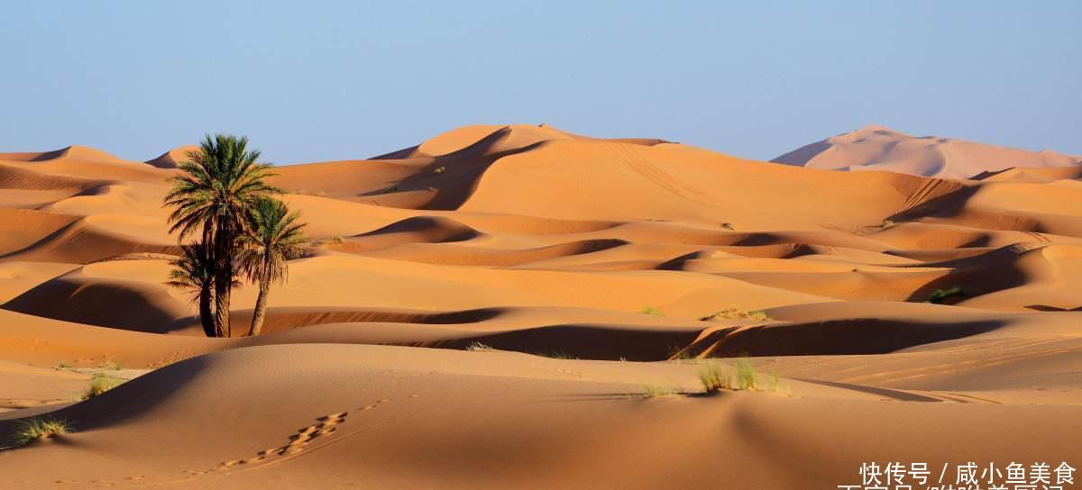 为啥沙漠里的“西瓜”不能摘？游客不听话，导游：丢掉，快洗手！