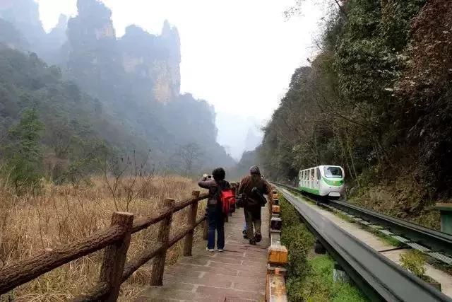 张家界，你想看的景色这里都有！