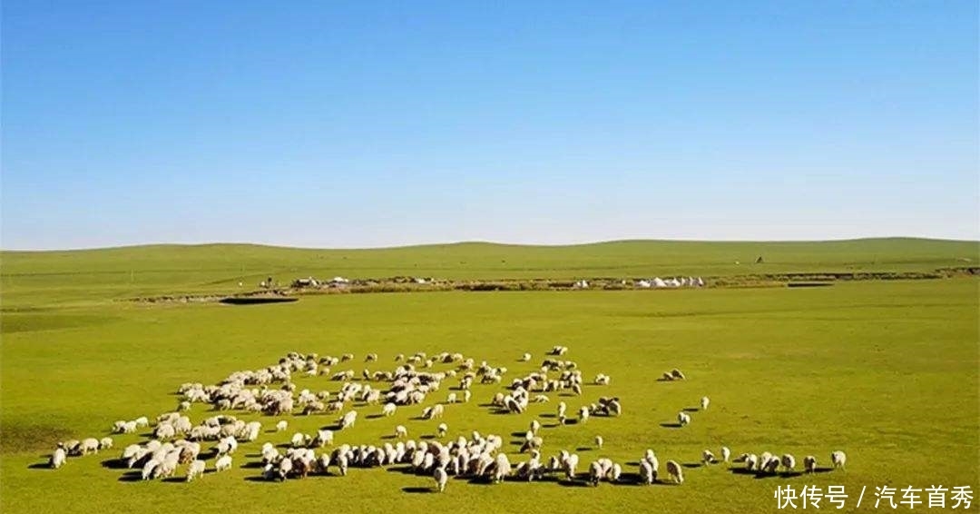 世界上最大的草原你知道是哪个吗?