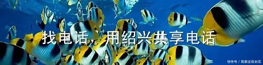  冷空气@15℃！冷空气正式杀到，还有个台风……这个周末又“泡汤