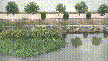  产值@啥养殖新模式？能每亩纯利润近万元，光卖鱼产值就有26万！