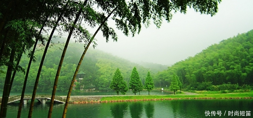 中国“最壮观”的竹林在四川！竹子达到400种？是卧虎藏龙取景地