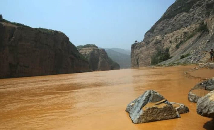 为什么黄河水这么浑浊，里面却生存着大量鲤鱼？看完你就懂了