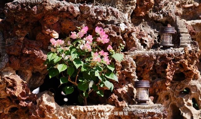  『地标』厦门本地人眼中的鹦哥楼，是儿时迷路时的地标性建筑