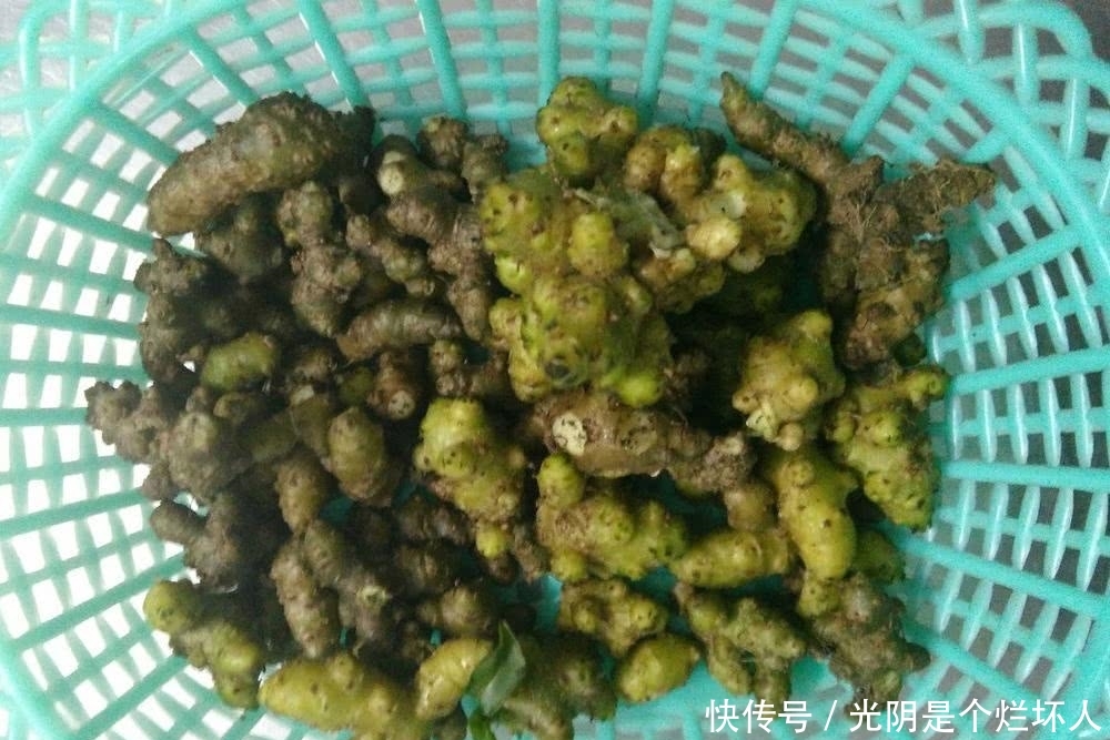  我国■营养比菠菜还高，在美国泛滥成灾没人要，引进我国却被大