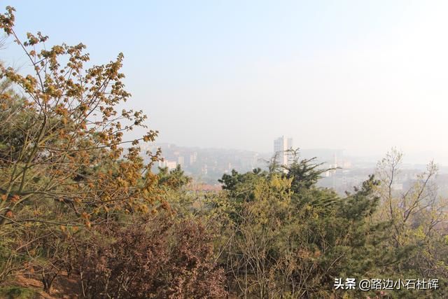 记忆随景—2015青岛游(八大关、教堂、信号山)