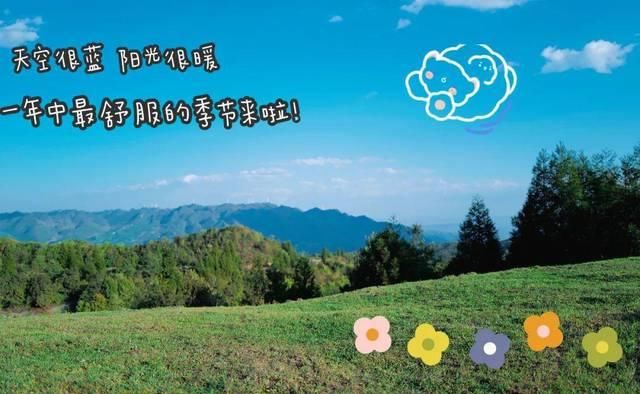  「超级多」让你的照片美貌营业，百万博主们都离不开它！