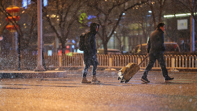 北京初雪日 晚间又飘鹅毛大雪