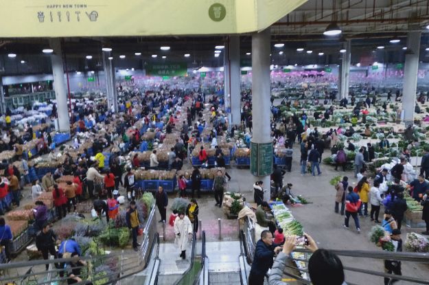 中国最大的花卉市场，鲜花白菜价论斤卖，10块钱就能带走一捆花