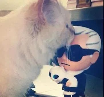  『Choupette』时尚教父“老佛爷”生前养的这只猫，有多幸运就有多难过