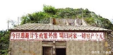 计生新规: 提倡生育两个子女, 网友: 只生一个好国家来养老?