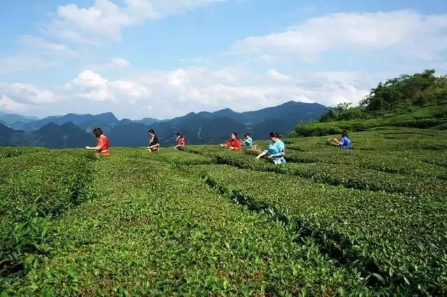 目前农村创业新点子，只要自己愿意干，年收入10万+