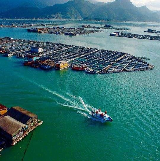 中国最“可惜”的沿海城市 拥有世界级海港 发展不如其他沿海城市