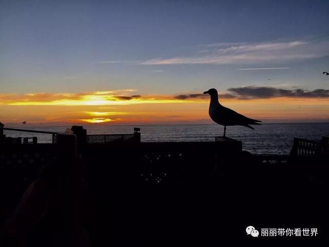 再见@于2020回忆再也讲不出再见的2017