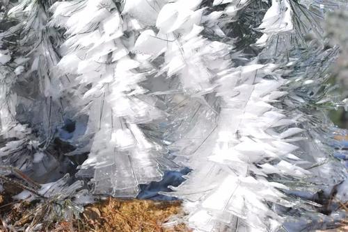 一大波美图正在向你袭来！鹰潭的雾凇让你一秒入仙境！