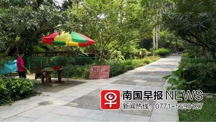 广西药用植物园非开放时间不给进入,网友吵翻了!园方却称…