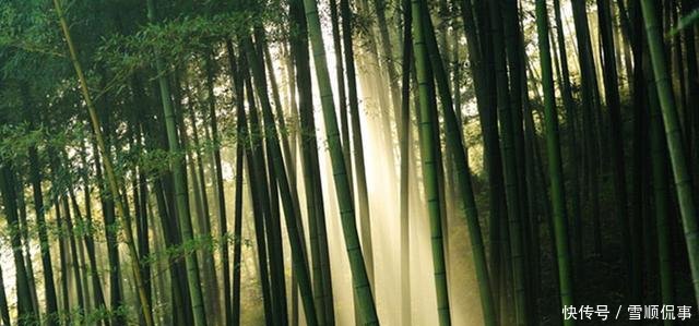 中国唯一的陶都, 多年被评为中国最佳县级市却鲜为人知