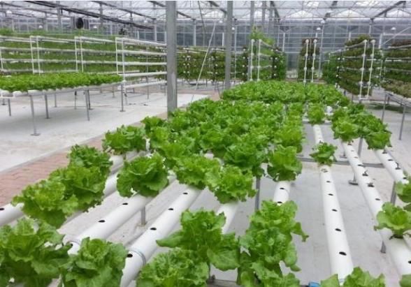 有本钱的农民朋友可以回家试试这2个项目未来几年，会很吃香