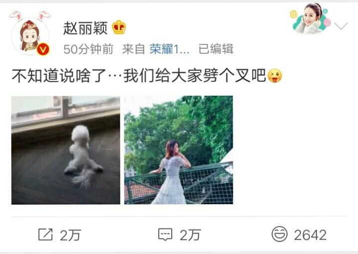 为了破怀孕传闻,赵丽颖发劈叉微博,兔子急了也咬人