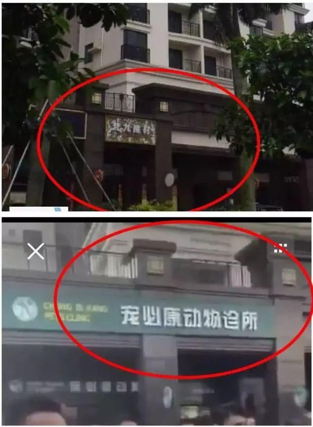 谣言“城管打人”视频以讹传讹，芜湖城管无辜躺枪！